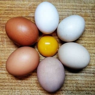 Azienda Agricola San Silvestro - Immagine 1