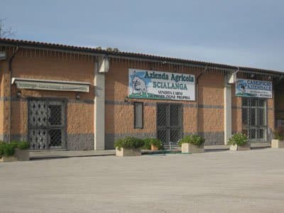 Azienda Agricola Scialanga - Immagine 1