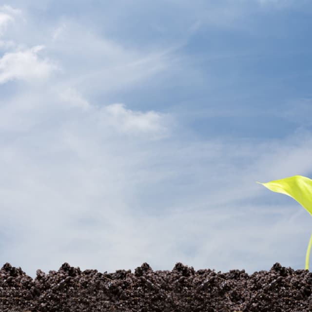 Azienda Agricola Valèr - Immagine 1