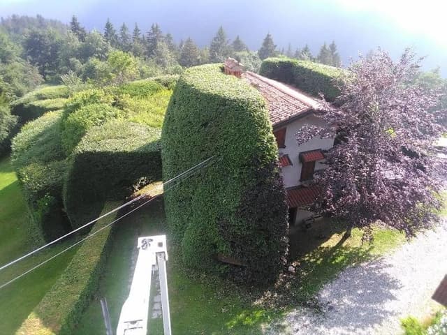 Azienda Agricola Verde Vita - Immagine 1