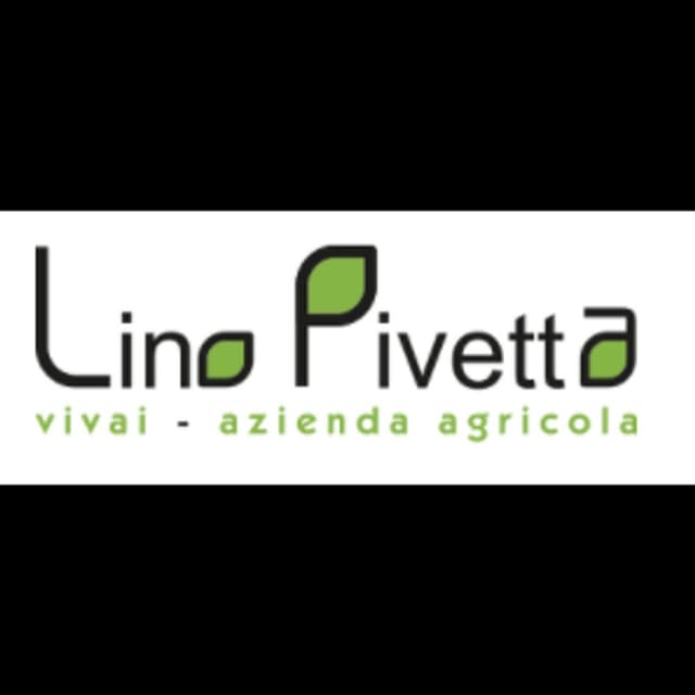 Azienda Agricola  Vivai Pivetta Lino  &  C. - Immagine 2