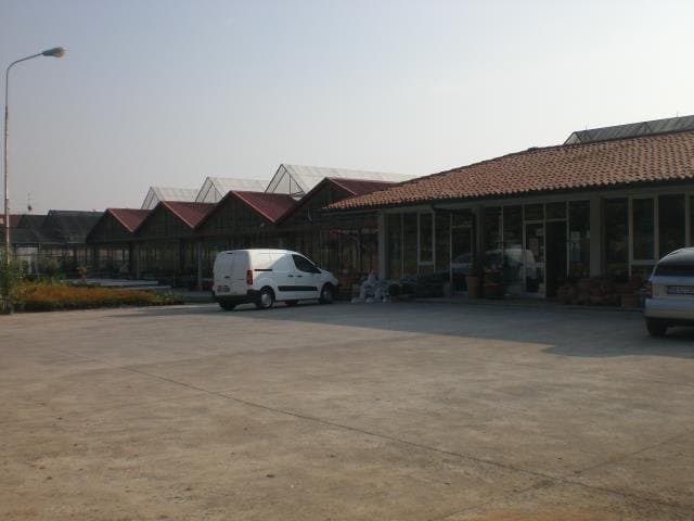 Azienda Florovivaistica Verzeletti Tiziano - Immagine 1