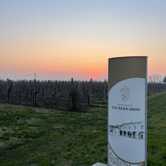 Azienda  San Bernardo - Immagine 2