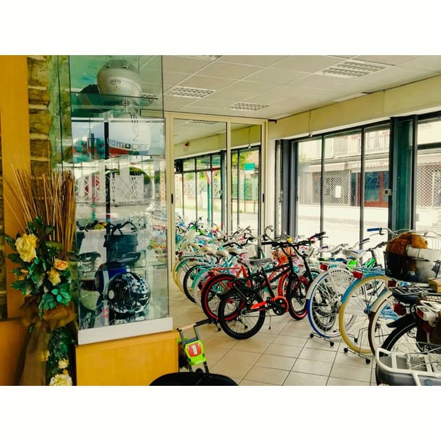 Bacci Renzo Bike Shop - Immagine 2