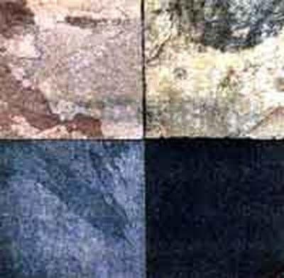 Bacigalupo Riccardo Ardesia - Immagine 1