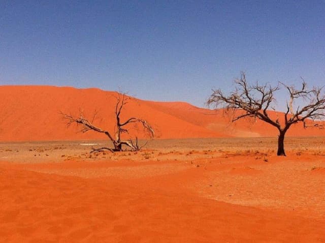 Baiana Viaggi - Immagine 2