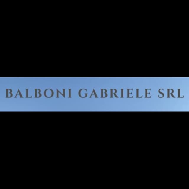 Balboni Gabriele S.r.l. - Immagine 2