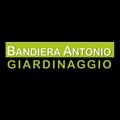 Bandiera Antonio - Servizi di Giardinaggio - Immagine 1
