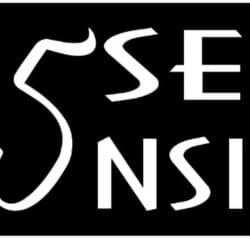 Bar 5 sensi - Immagine 1