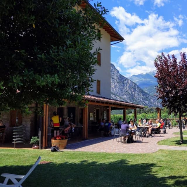 Bar Azienda Agricola Pedrotti - Immagine 2