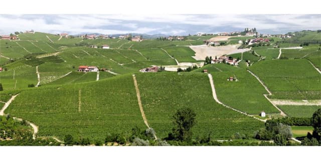 Barale Fratelli - Immagine 1