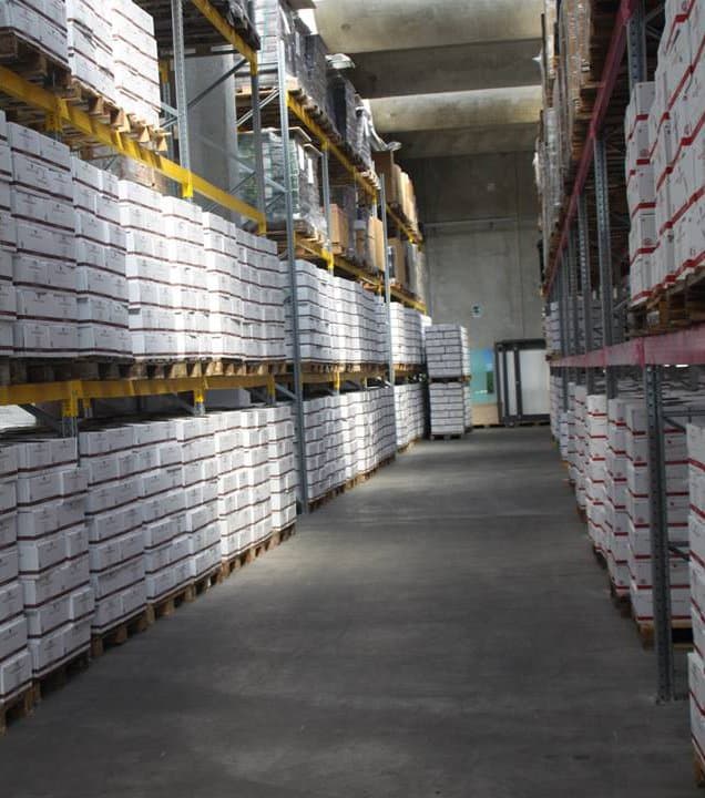 Basic Logistica - Immagine 1