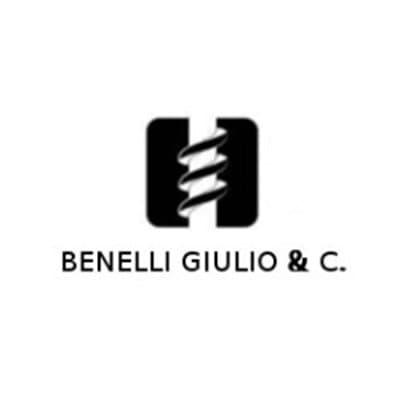 Benelli Giulio - Immagine 2