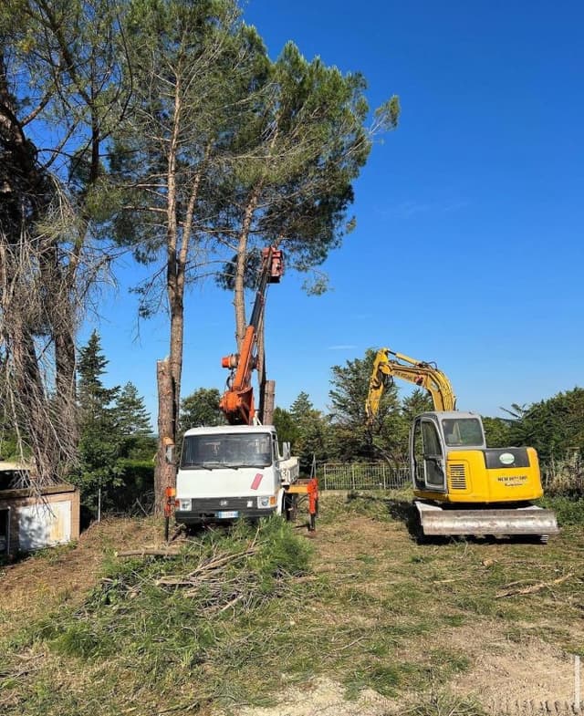 Beni Servizi - Immagine 2