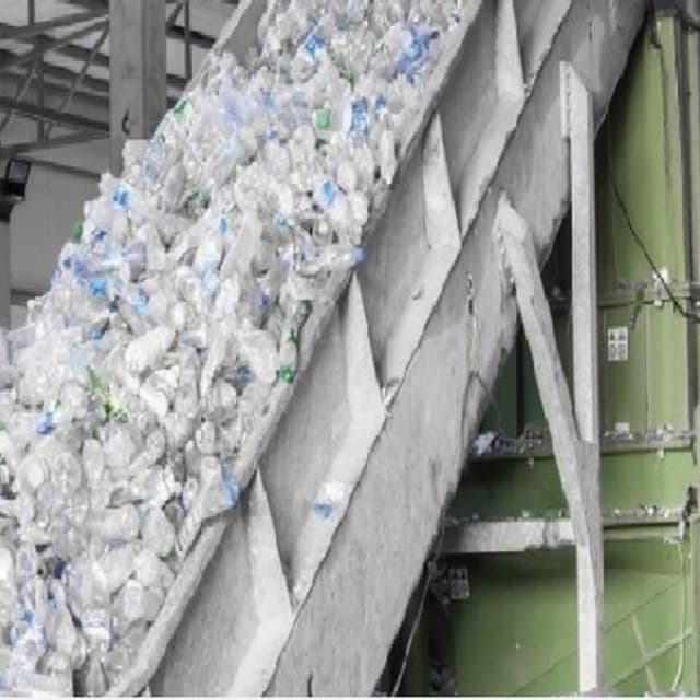 Bentivogli Enzo - Immagine 2