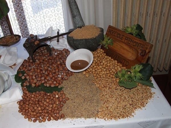 Benvenuto - Immagine 1