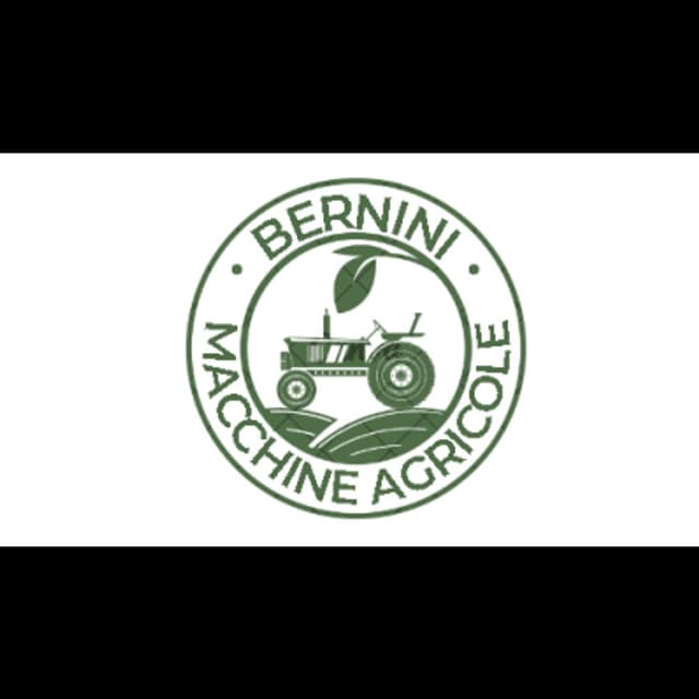 Bernini - Immagine 2