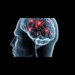 Bertolini Dr. Renzo - Immagine 1