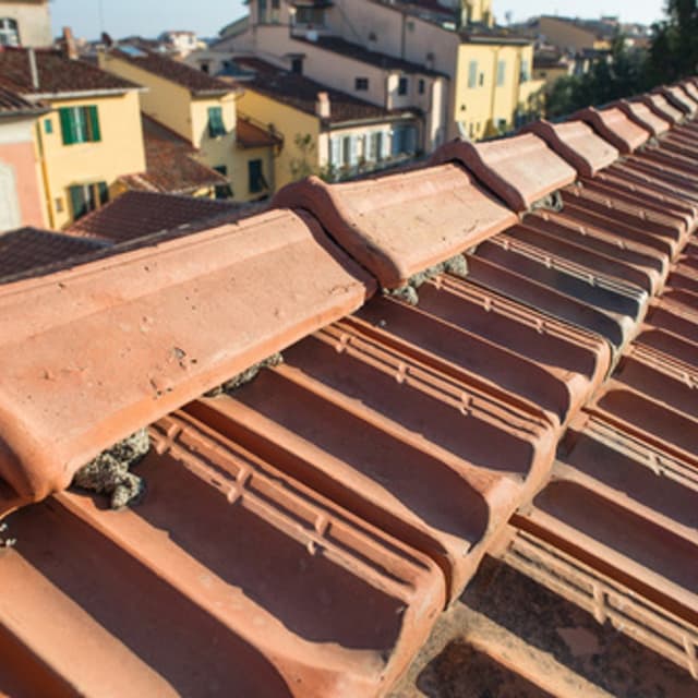 Beschi Coperture - Immagine 1