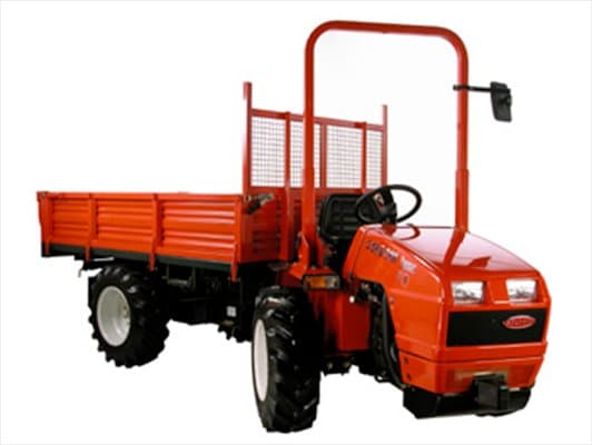 B.G. Tolaini - Immagine 1