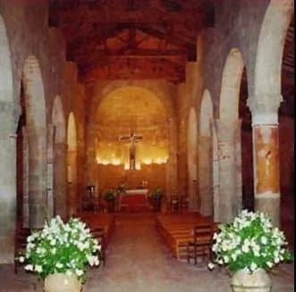 Bianchi Fiori e Piante - Immagine 2