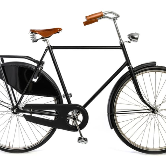 Biasotto Ivano - Immagine 1