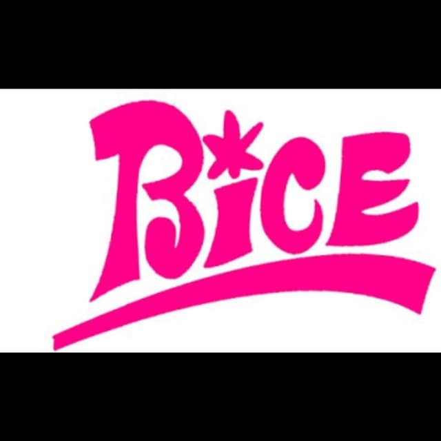 Bice Abbigliamento - Immagine 1