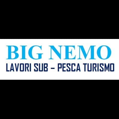 Big Nemo - Immagine 1