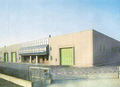 Boa - Fonderia Bronzo - Immagine 1