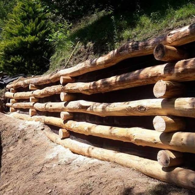 Boggio Giardini - Immagine 2