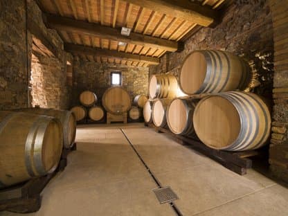 Borghesana Azienda Vitivinicola - Immagine 2