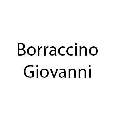Borraccino Giovanni - Immagine 1