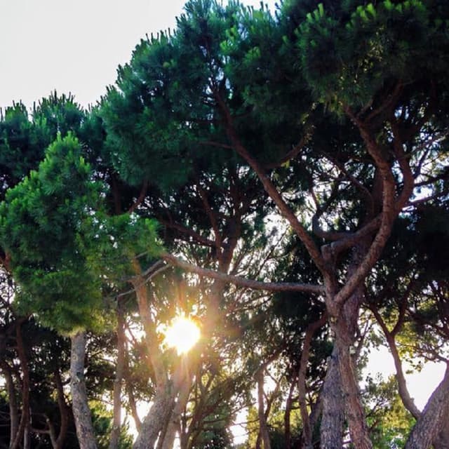 Bottino Appartamenti Vacanze - Immagine 1