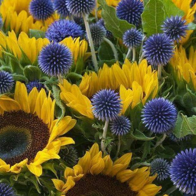 Boutique dei fiori - Immagine 1