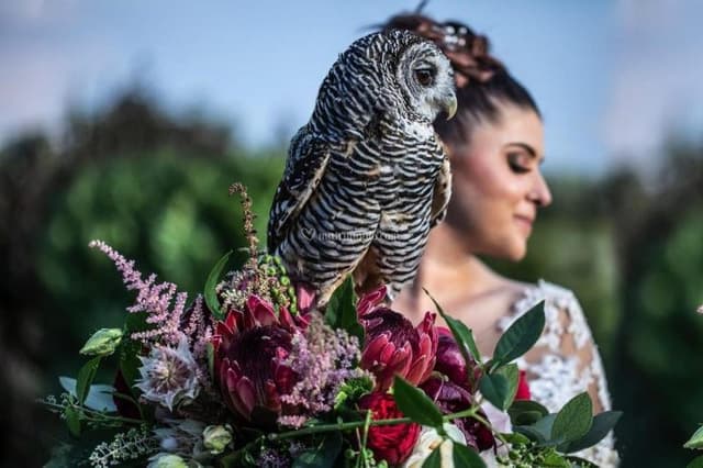 Boutique del Fiore - Immagine 2