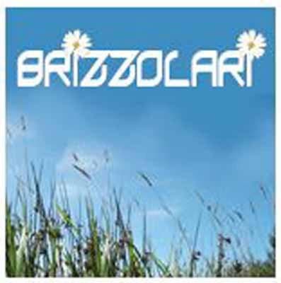 Brizzolari - Immagine 1