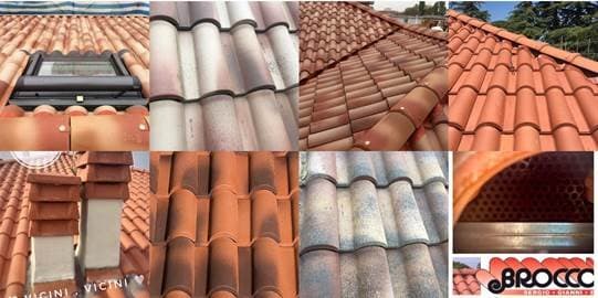 Broccoli Tetti - Immagine 1