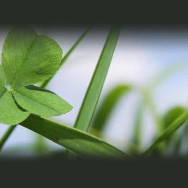 Brugo Pier Antonio S.r.l. - Immagine 2