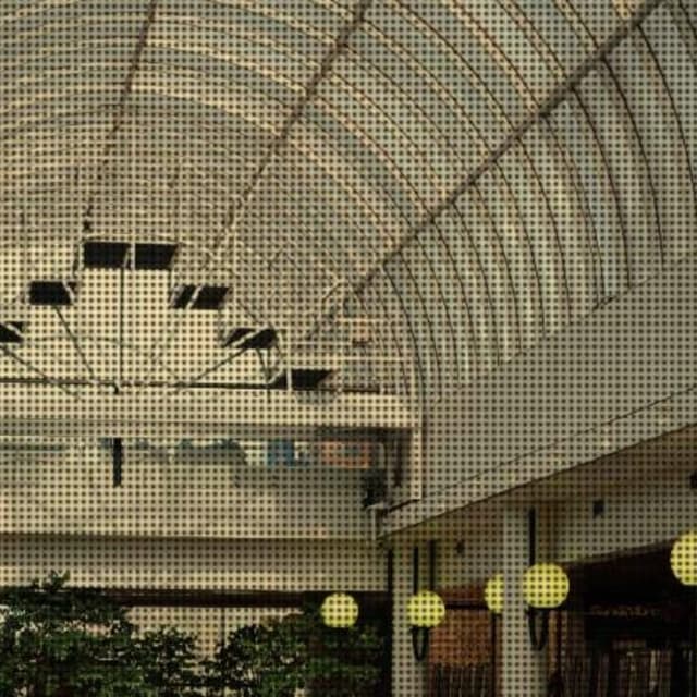 Busolin  - Expert - Immagine 2