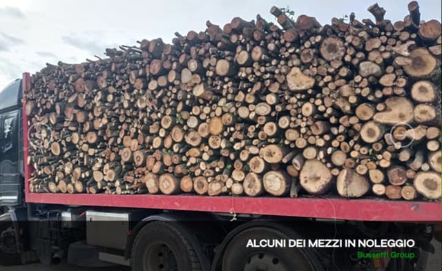 Bussetti Group - Immagine 1