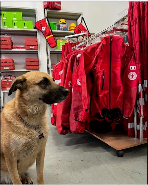 Cadenasso & C. - Immagine 1