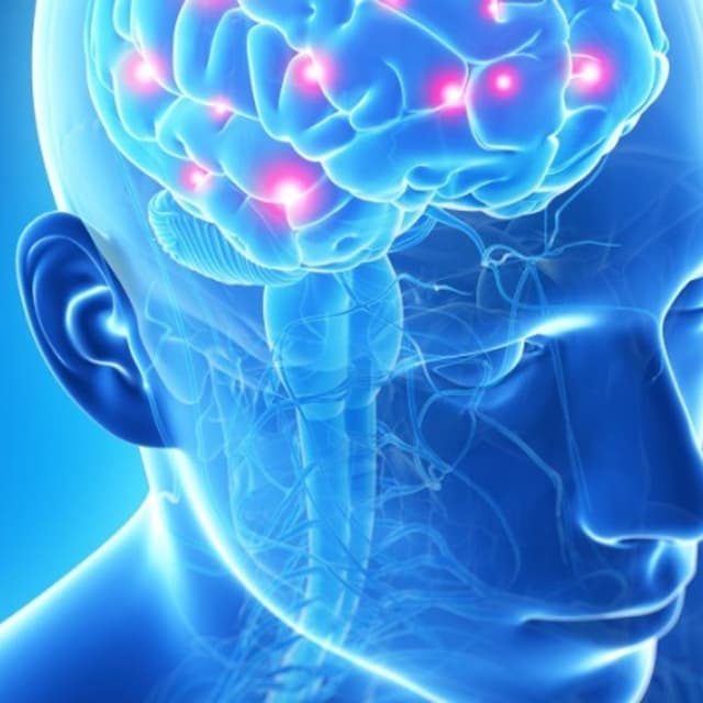 Calabrese Dr. Nicola - Immagine 1