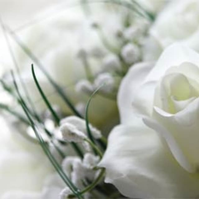 Camerlo Fiori - Immagine 2