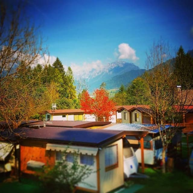 Camping Calavise Pizzeria "Le Peze" - Immagine 1