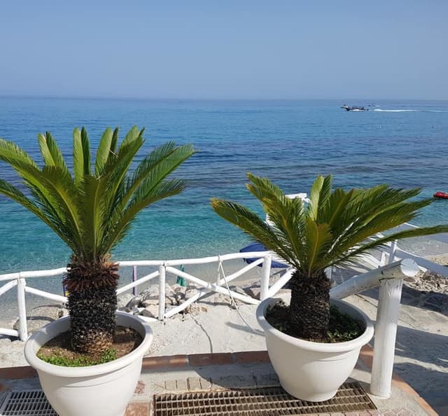 Camping Marina del Convento - Immagine 2