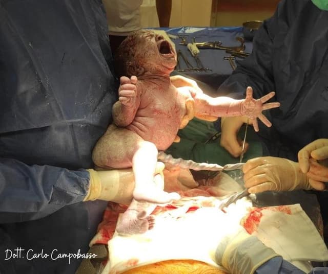 Campobasso Dr. Carlo - Immagine 1