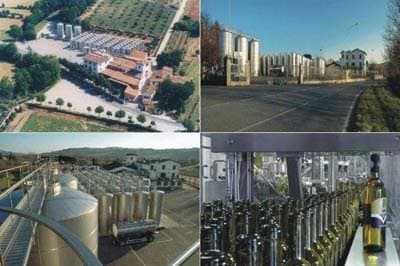 Cantine Borghi - Immagine 1