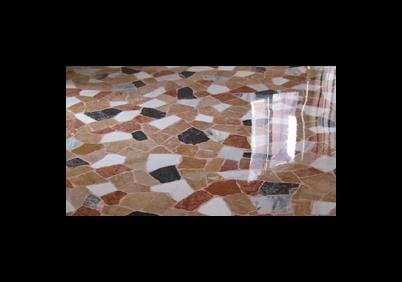 Cardoni - Immagine 1