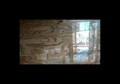 Cardoni - Immagine 2