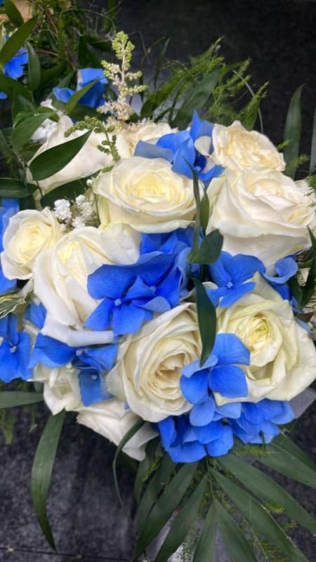 Carla Parisi Piante e Fiori - Immagine 1